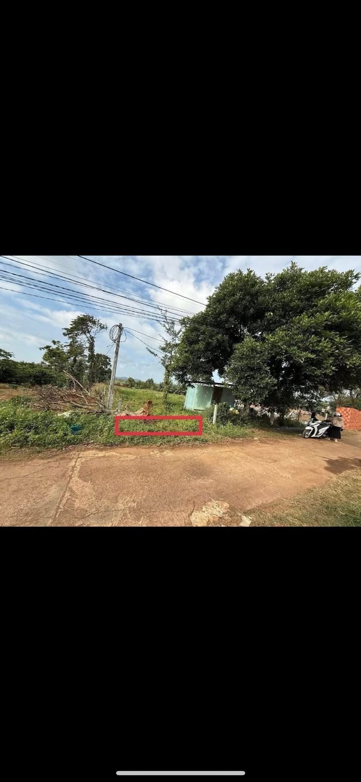 Đất nền Ea Kao Buôn Ma Thuột 125m² giá 775 triệu - Gần chợ và trường học