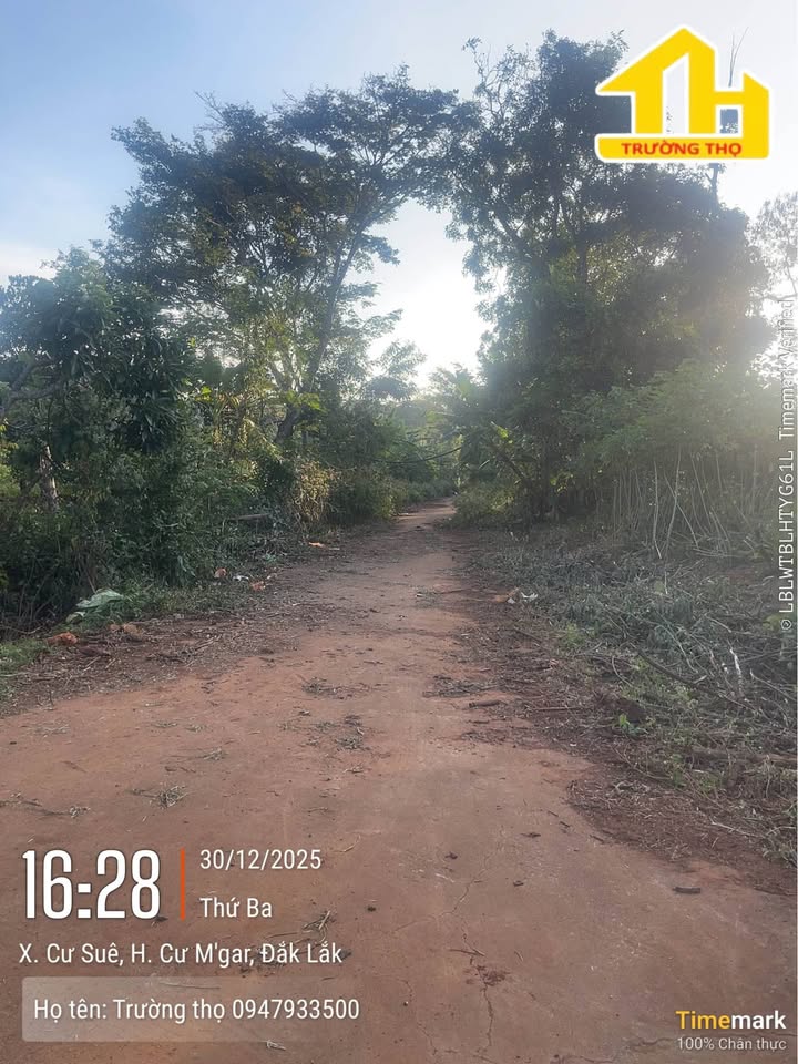 Đất nền Cư Suê 125m² giá 325 triệu - Cơ hội đầu tư sinh lời!