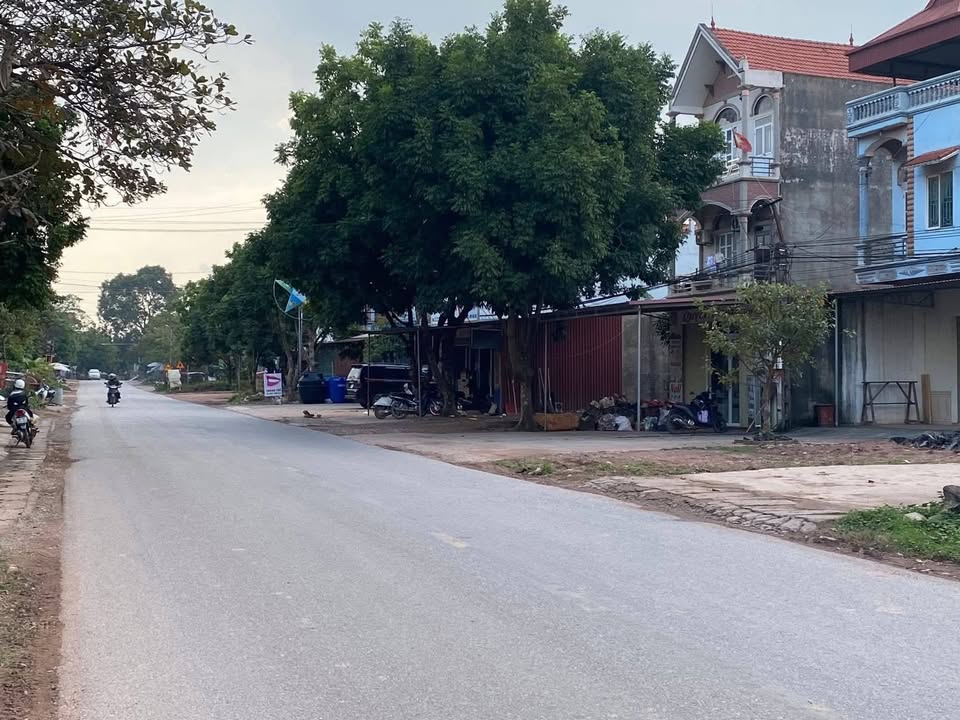 Đất mặt đường Quốc lộ 37, thôn Cảy Hương Sơn, 100m² - Vị trí kinh doanh lý tưởng!