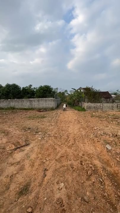 Đất nền Quỳnh Tam 1600m² giá chỉ 2 tỷ - Cơ hội đầu tư hấp dẫn!