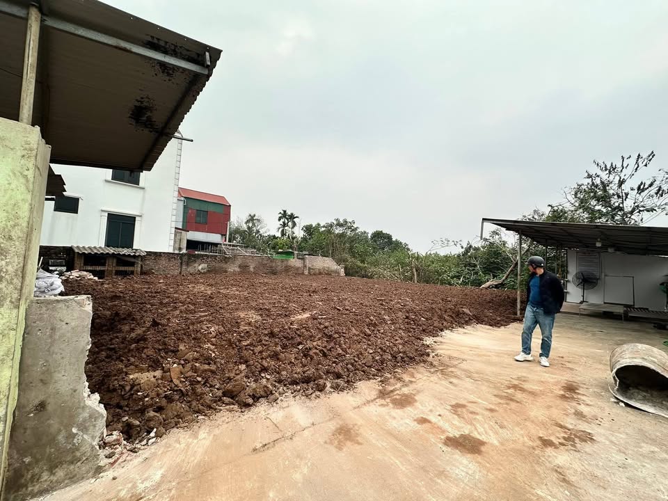 Đất nền Chương Dương Thường Tín 80m² - Đầu tư sinh lời hấp dẫn!