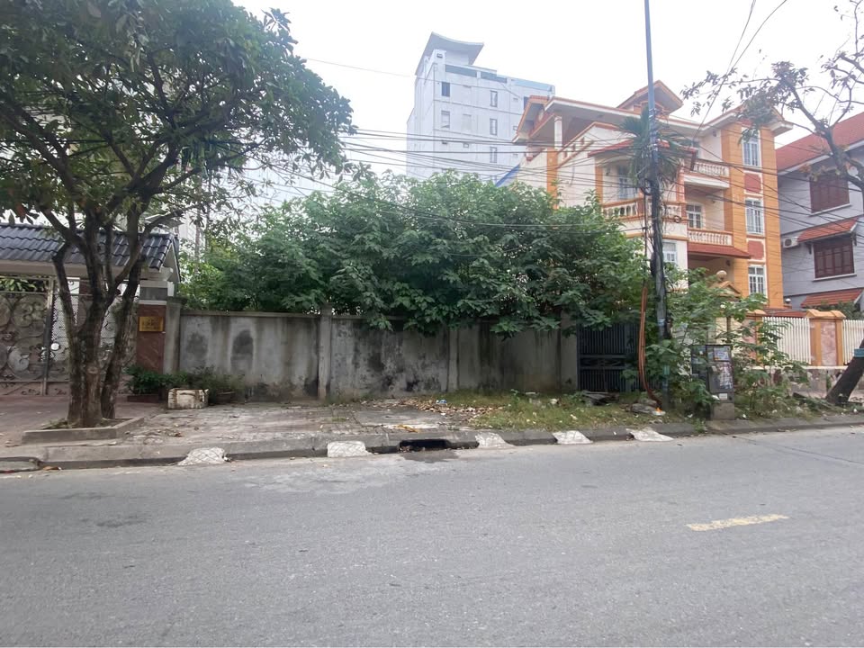 Đất Biệt thự mặt đường Trương Hán Siêu, Nam Định, 245m² - Vị trí đẹp, kinh doanh thuận lợi!