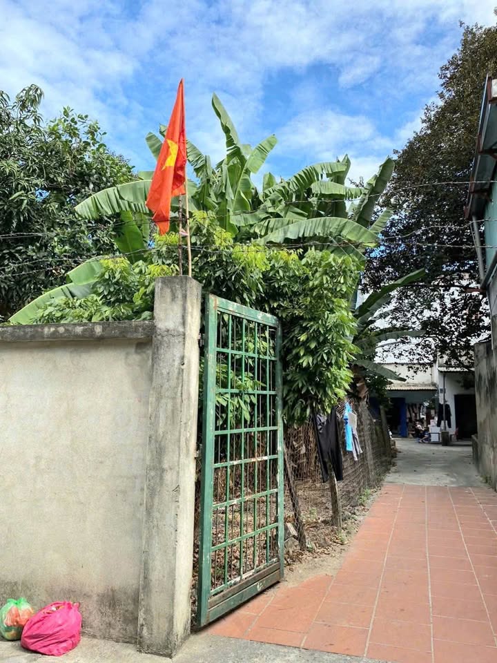 Phòng trọ Tân Phong Biên Hòa 16m² giá 600k - Sân vườn mát mẻ gần chợ!