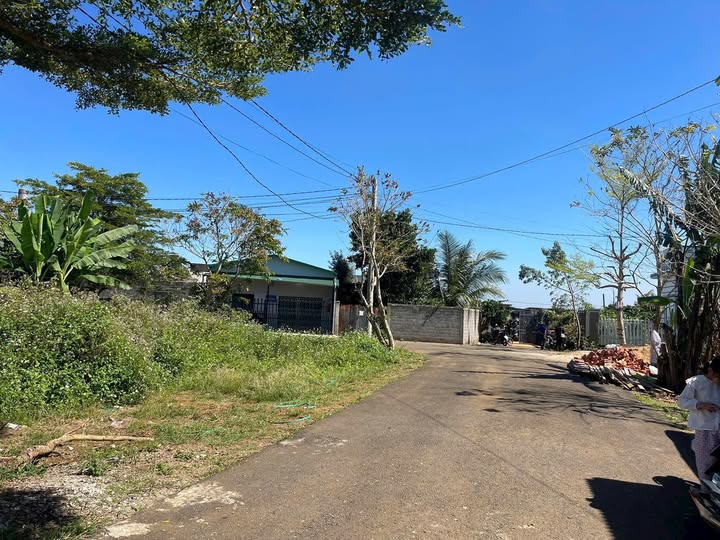 Đất nền Hẻm 169 Nguyễn Đình Chiểu, Bảo Lộc 115m² - Cần ra gấp chỉ 900 triệu!