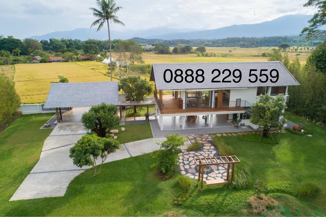 Đất trồng cây Yên Mỹ, Thanh Trì 290m² giá 1.5 tỷ - Pháp lý rõ ràng chính chủ!