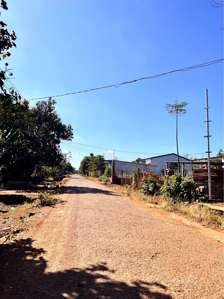 Đất nông nghiệp Trương Định Pleiku 504m² giá 1.4 tỷ - Tiềm năng kinh doanh tuyệt vời!