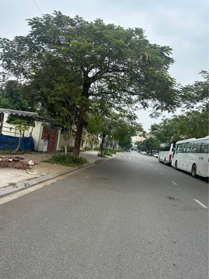 Đất Biệt Thự Khu Đô Thị Grenpark Móng Cái 300m² - Đường rộng, tiện ích đầy đủ!