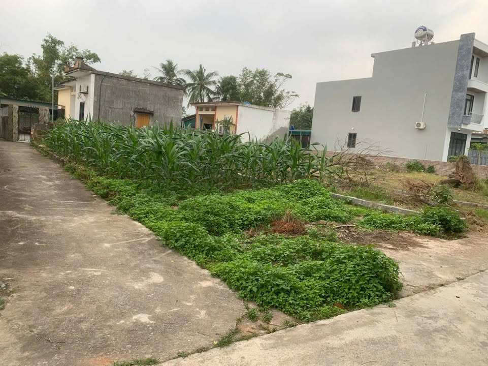 Đất nền Hòa Bình, Kiến Xương 110m² giá chỉ 6xx triệu - Cơ hội đầu tư hấp dẫn!