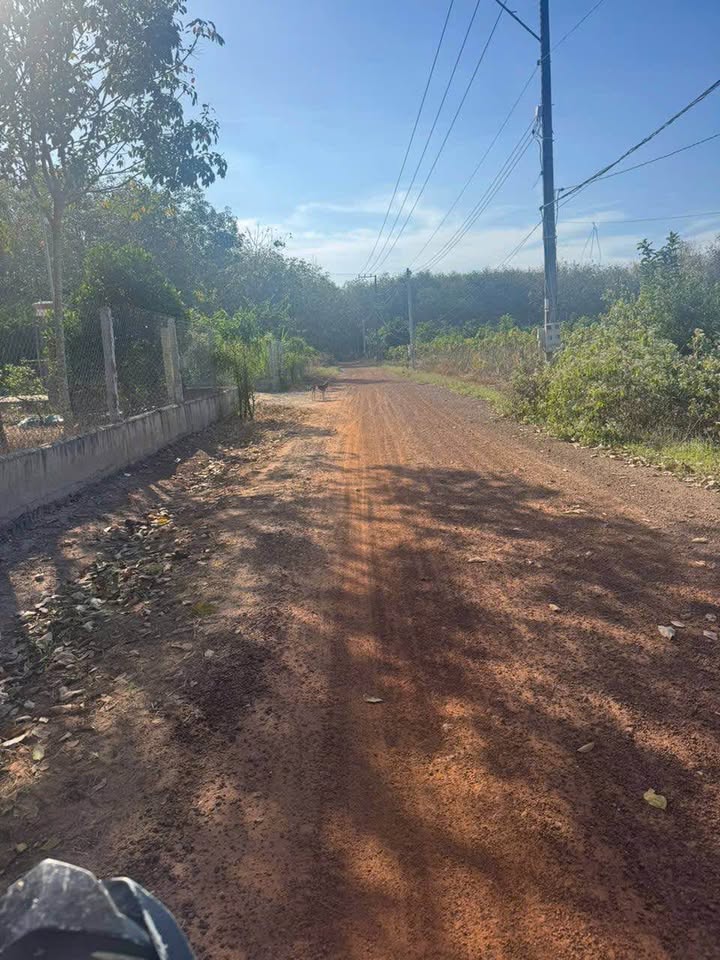 Đất thổ cư Tân Hiệp Phú Giáo 175m² giá 450 triệu - Cơ hội đầu tư tuyệt vời!