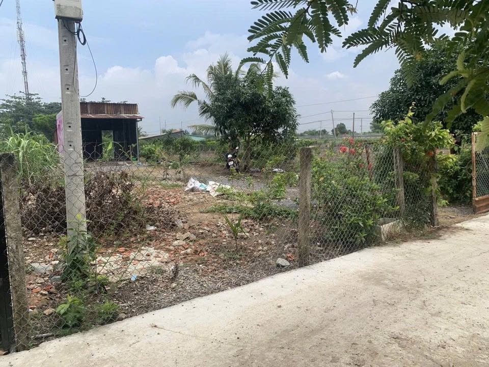 Nhà vườn 1080m² xã Hưng Long Bình Chánh 3.4 tỷ - Sổ hồng riêng, đất trồng cây lâu năm!