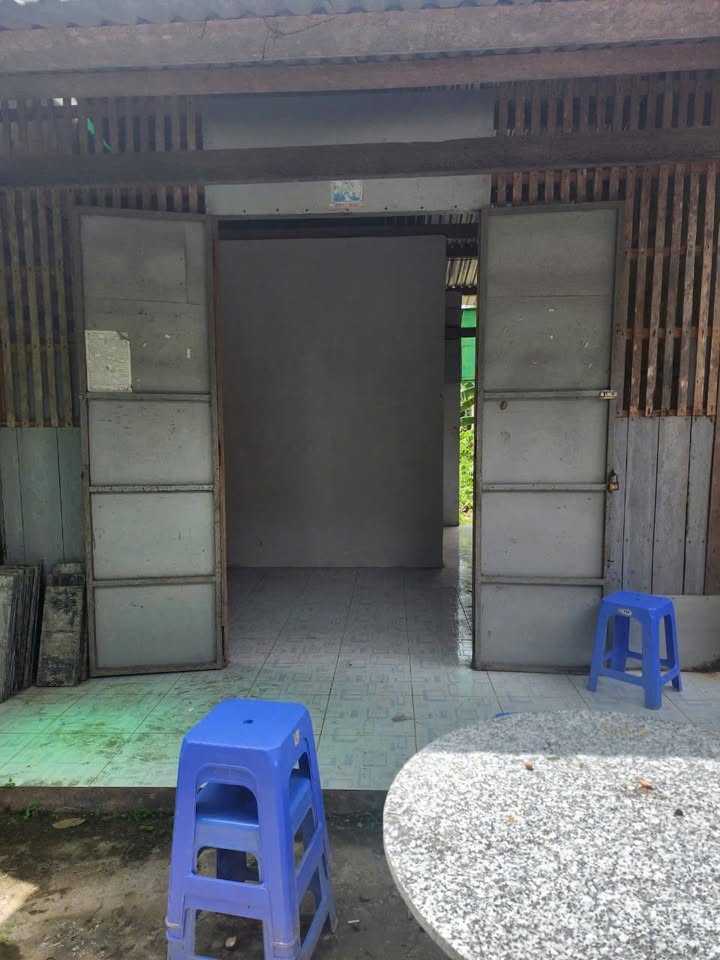 Đất Phú Khương Bến Tre 99m² giá 395 triệu - Bán gấp tặng nhà nát!