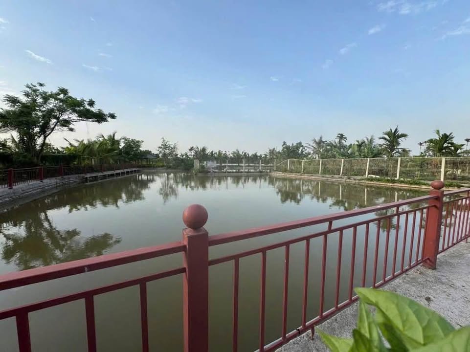 Đất nhà vườn Hòa Nghĩa Dương Kinh 482m² giá 8 tỷ - Cơ hội đầu tư hiếm có!