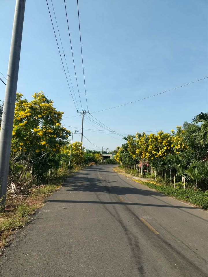 Đất nền Hồ Tràm, Xuyên Mộc, 849m² - Cơ hội đầu tư hấp dẫn!