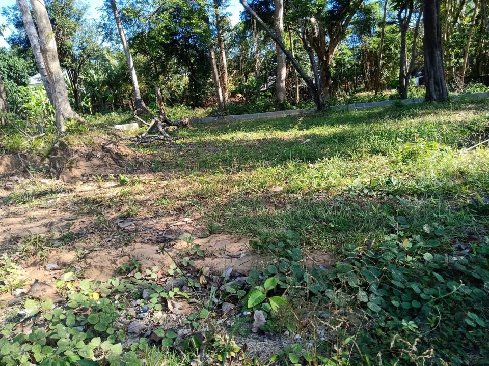 Đất nền Cửa Lấp Phú Quốc 473m² - Lô góc 2 mặt tiền, cách biển chỉ 700m!