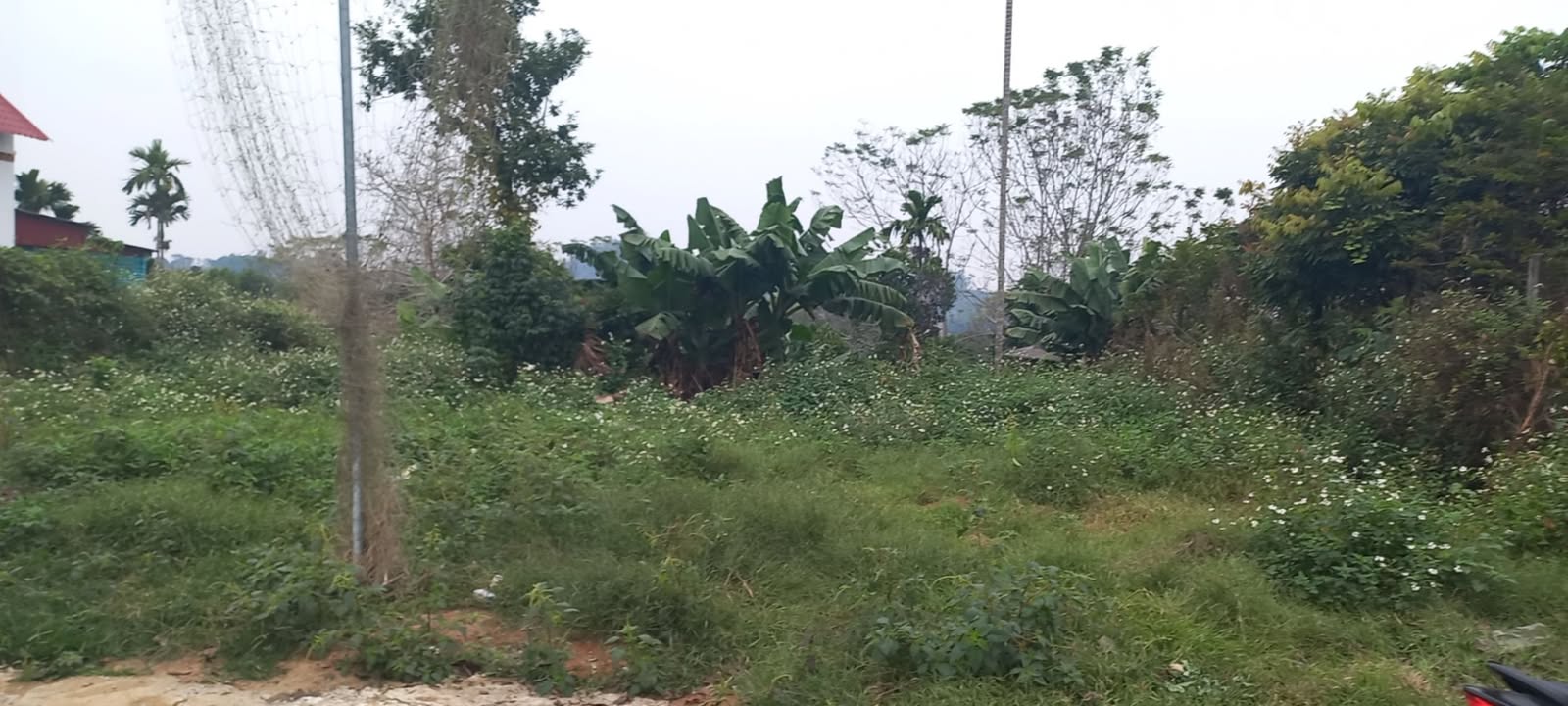 Đất nền lô góc 495m² tại xã Suối Hai, Ba Vì - Giá chỉ 3 tỷ, cơ hội đầu tư tuyệt vời!