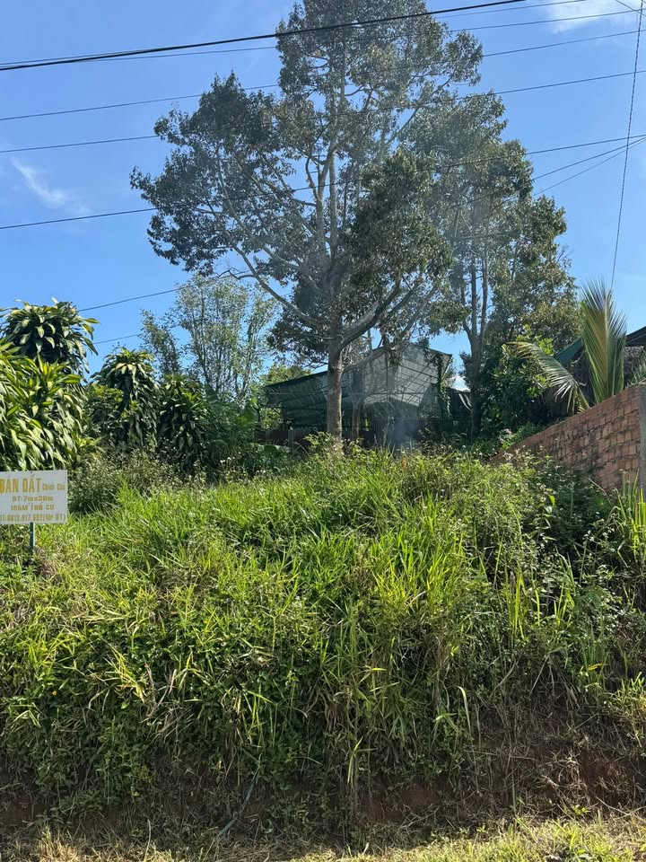 Đất thổ cư đường Hà Huy Tập, Di Linh, 210m² - Đầu tư sinh lời ngay!