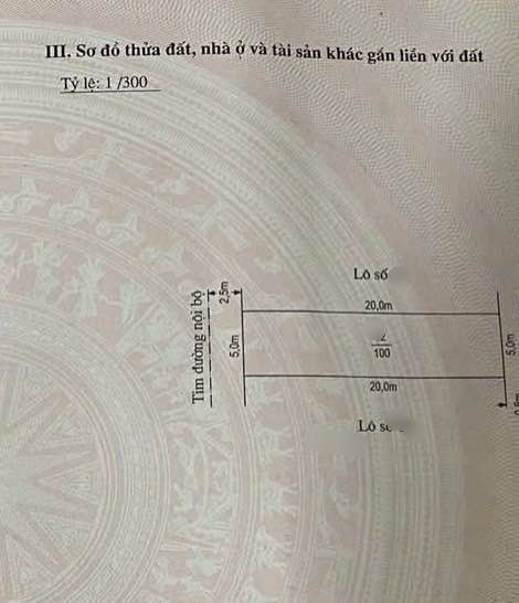 Đất nền An Đồng Hải Phòng 100m² - Hướng Tây, Gần đường chính, Tiềm năng đầu tư!