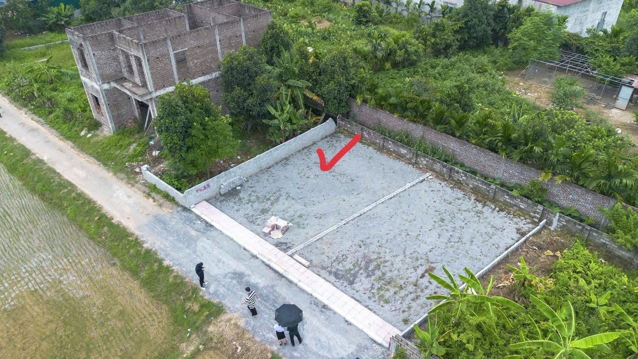 Lô đất 99m² An Tiến, Mỹ Đức - Giá chỉ 990 triệu - Sổ đỏ chính chủ!