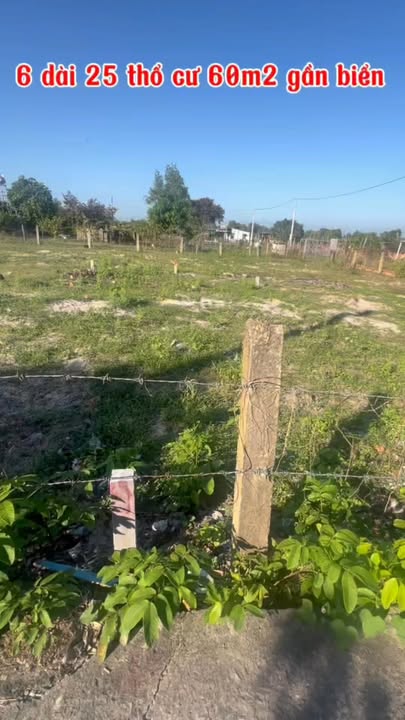 Đất nền Phước Hội - La Gi, 150m² chỉ 600 triệu - Cơ hội đầu tư vàng!