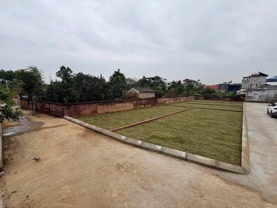 Đất nền Hạ Bằng Thạch Thất 115m² - Sổ đỏ chính chủ, giá tốt!