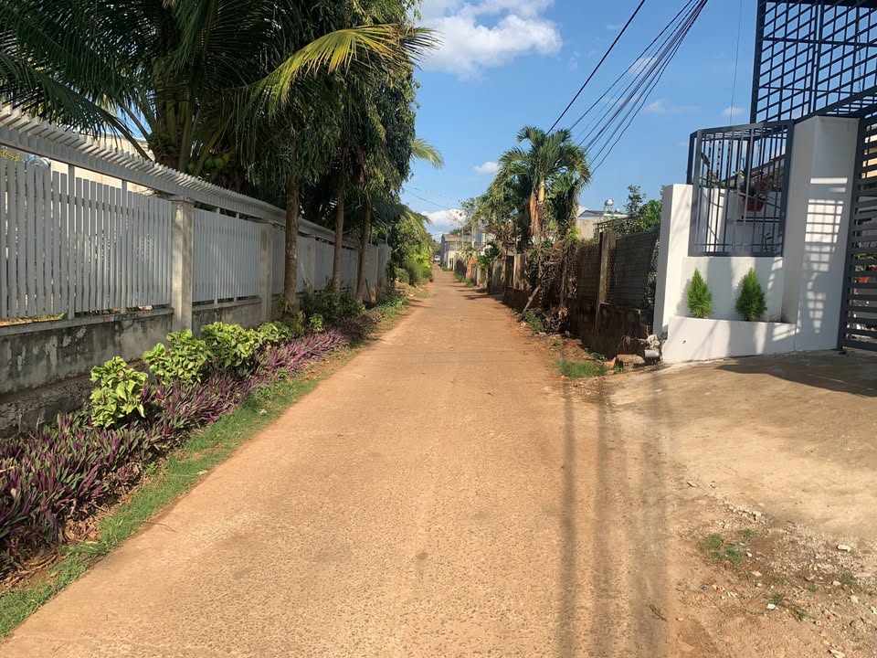 Đất nền chính chủ Tân Hòa, Buôn Ma Thuột 115m² giá 1.5 tỷ - Đầu tư sinh lời ngay!