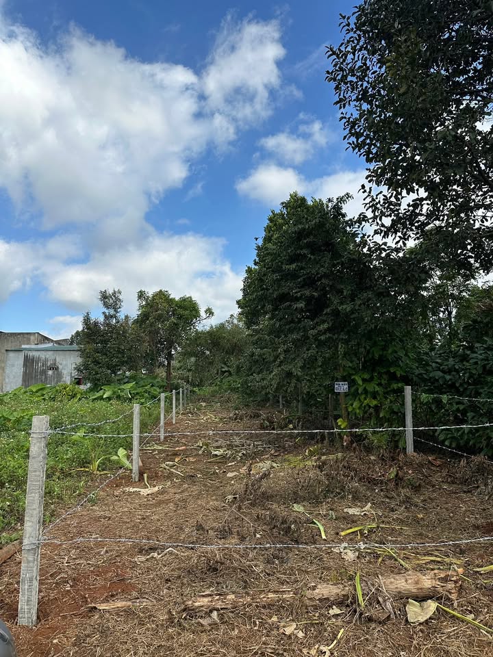 Đất nền Hòa Đông, Krông Pắc 145m² chỉ 469 triệu - Cơ hội đầu tư không thể bỏ lỡ!