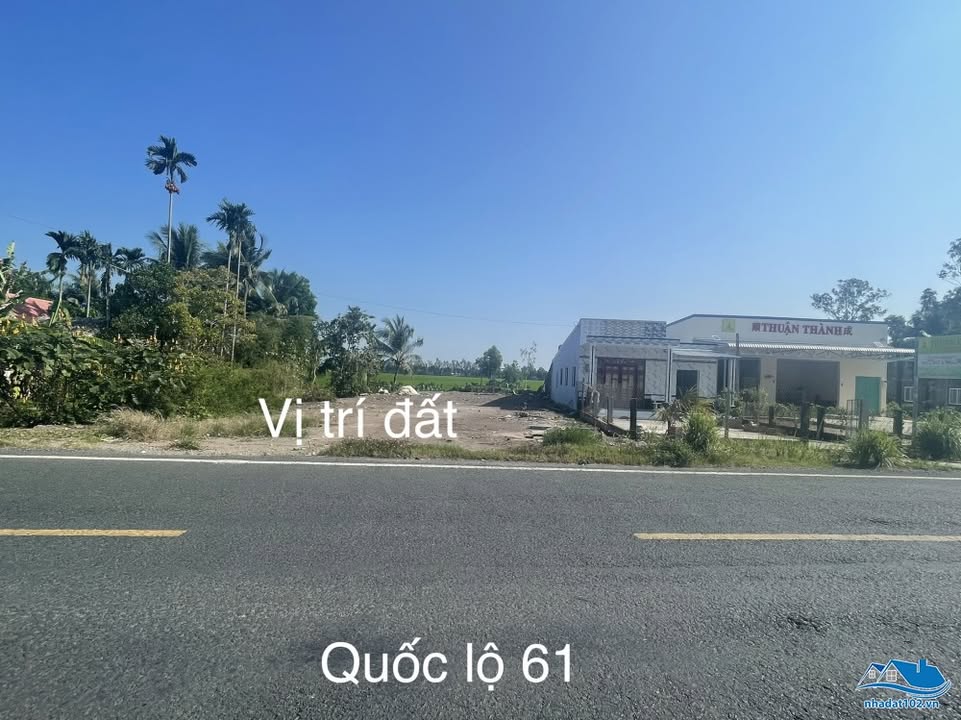 Đất mặt tiền Quốc Lộ 61, xã Định Hòa, 503m² - Đầu tư sinh lời hấp dẫn!