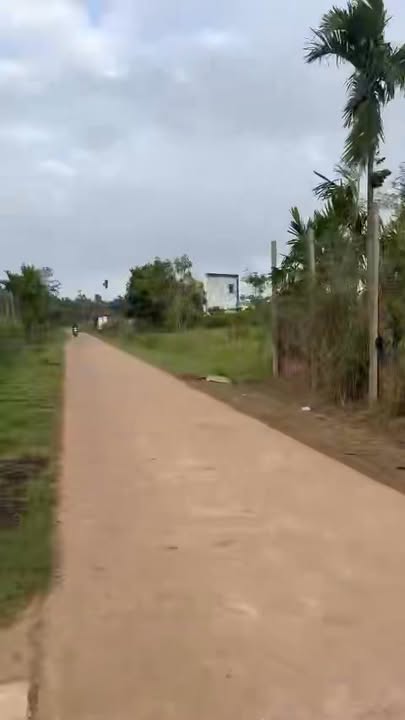 Đất Phú Xuân Krông Năng 32.000m² giá 1.95 tỷ - Cơ hội đầu tư hấp dẫn!