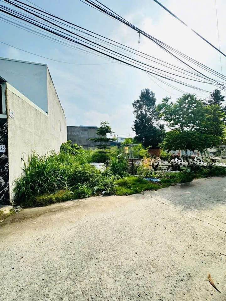 Đất mặt tiền kinh doanh Trảng Dài, Biên Hòa 105m² giá 1.25 tỷ - Cơ hội vàng cho đầu tư!