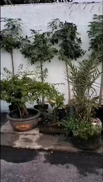 Nhà vườn quán cà phê đường Quách Điêu 500m² giá 20 triệu - Không thể bỏ lỡ!