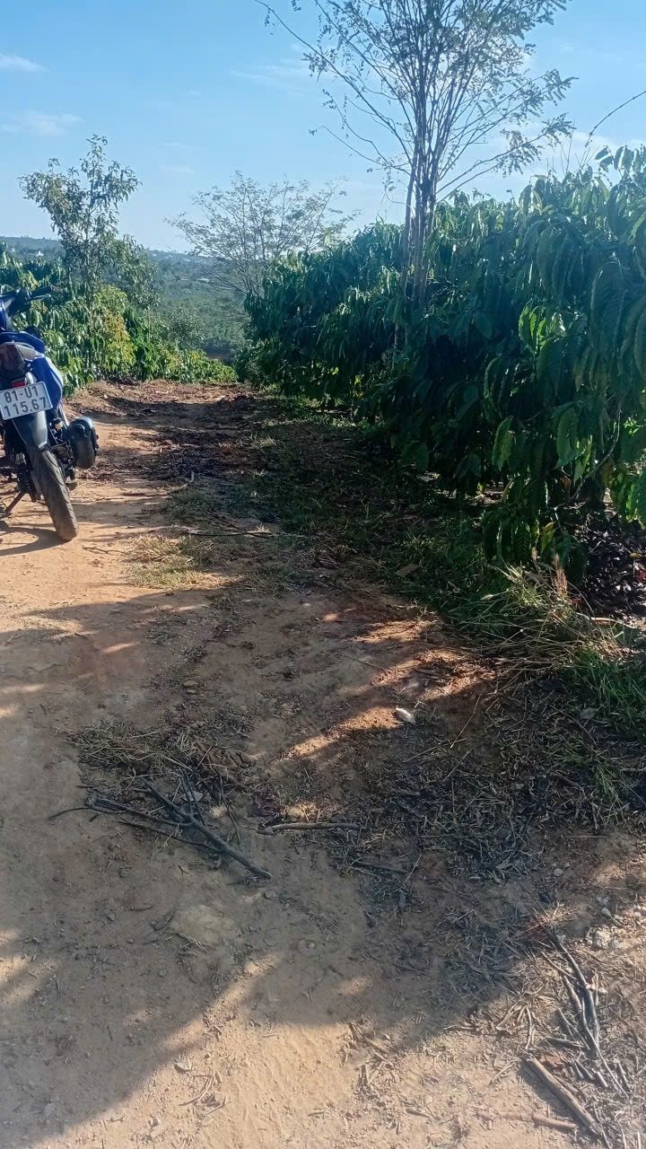 Đất nền 5040m² tại xã Nghĩa Hòa, Gia Lai - Giá 1.92 tỷ, thương lượng ngay!