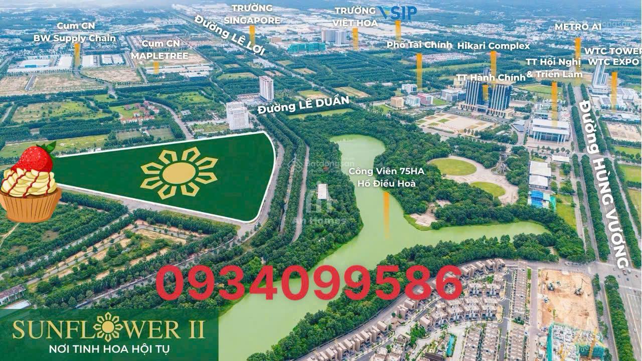 Biệt thự cao cấp Sunflower Thủ Dầu Một 574m² giá chỉ 43 triệu/m² - Không gian sống lý tưởng!