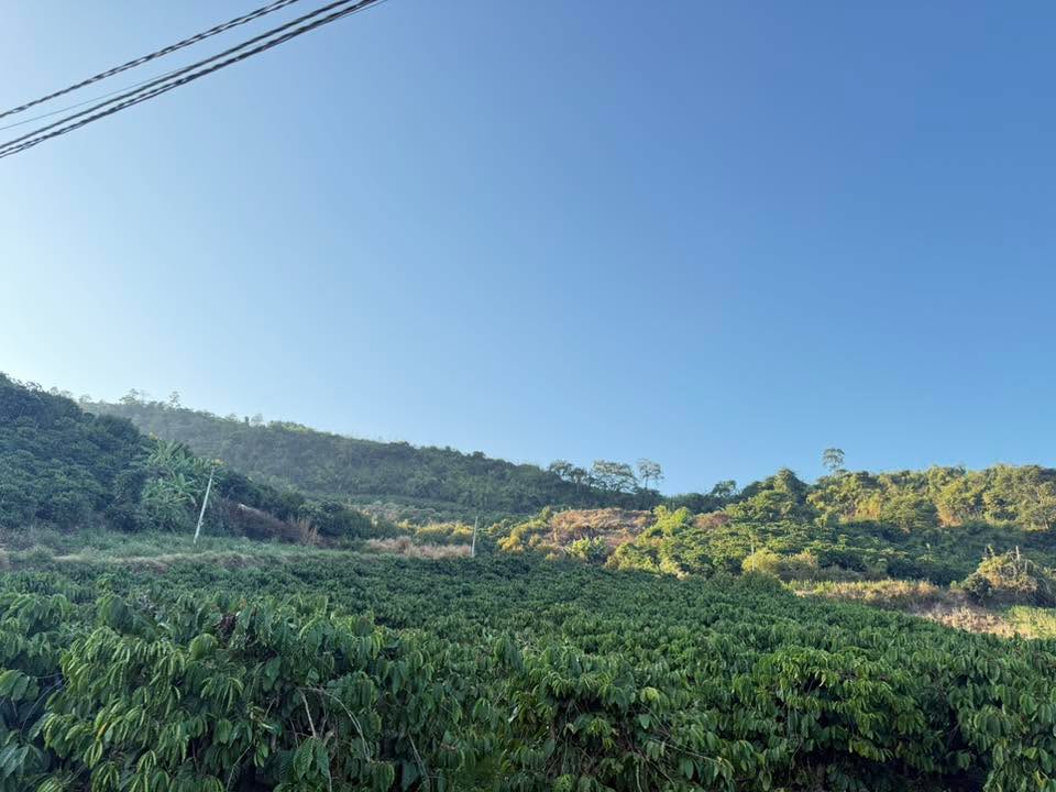 Đất 4 sào tại Tân Hà, Lâm Hà - Giá 2 tỷ, vị trí đắc địa