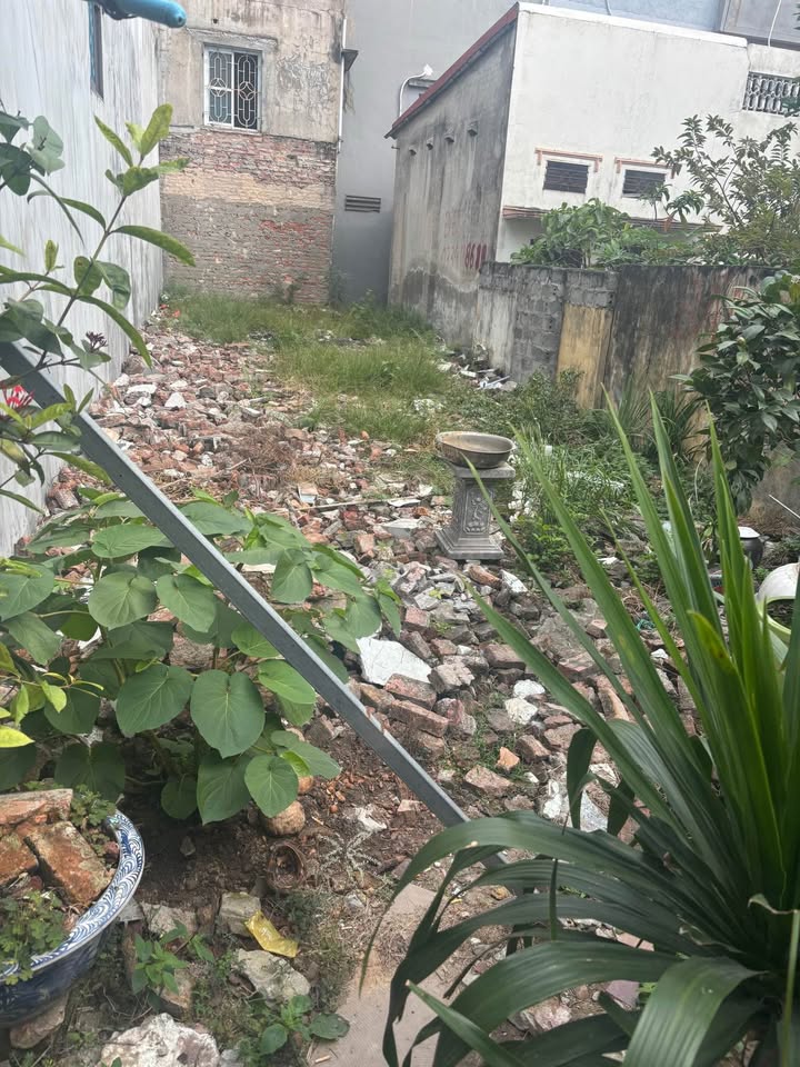 Lô đất đẹp tại Quy Tức 2, Phù Liễn, Kiến An - 78.88m² chỉ 1.85 tỷ - Cơ hội hiếm có!