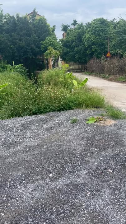 Đất đấu giá LK23,24 thôn Thụy Phú 95m² giá chỉ 3 triệu/m² - Cơ hội đầu tư hiếm có!