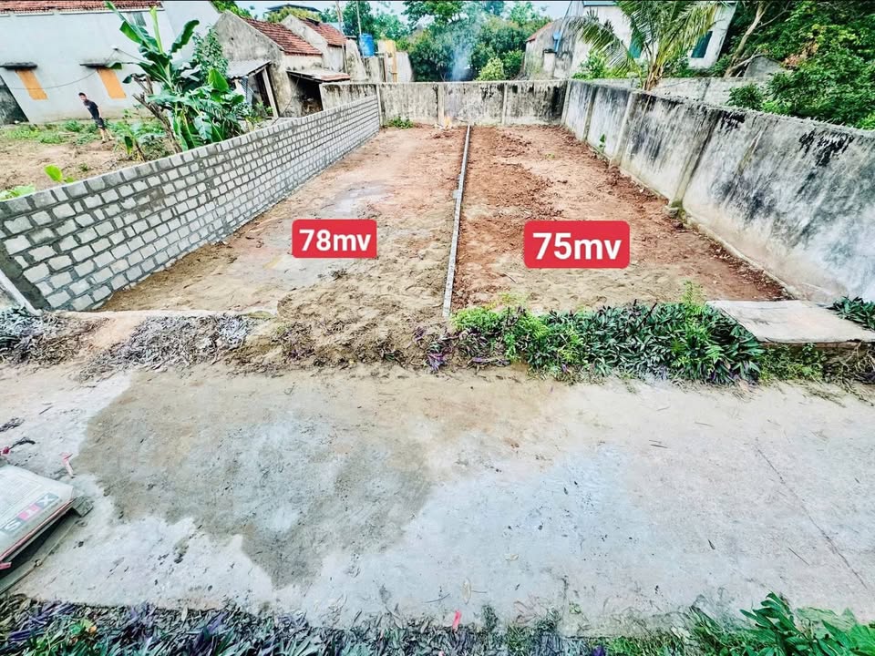 Đất nền Hùng Cường, Hưng Yên 76.5m² chỉ 1 tỷ - Đầu tư tiềm năng!