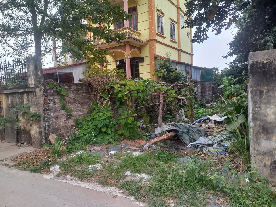 Đất Lộc Hà Mai Lâm 85m² giá 6.5 tỷ - Đầu tư tiềm năng view sông