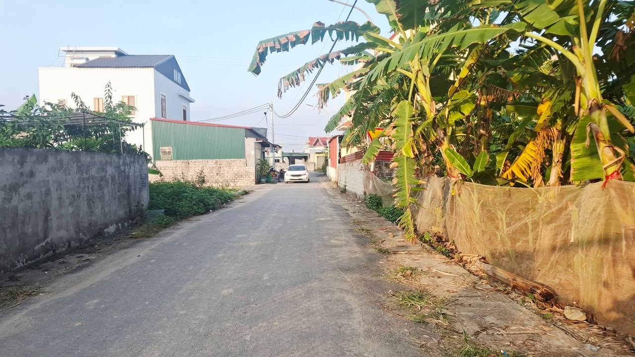 Đất nền An Trường Hải Phòng 200m² giá 4 tỷ - Đầu tư sinh lời ngay!