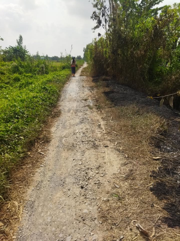 Đất thổ cư xã Phú Quới, Long Hồ 115m² giá chỉ 325 triệu - Cơ hội đầu tư tuyệt vời!