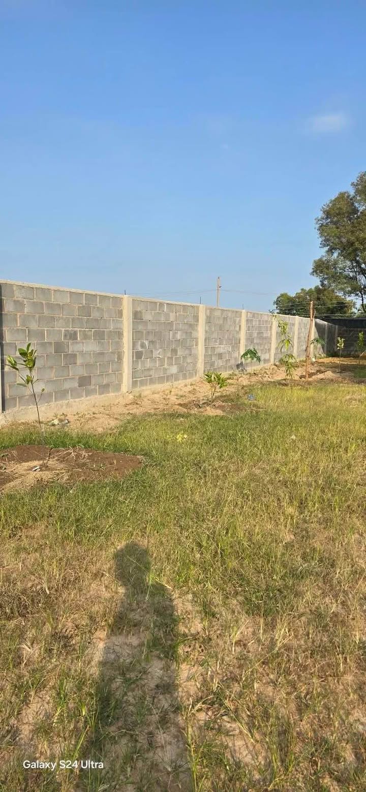 Bán đất vườn Xã Long Điền 746m² giá 2.39 tỷ - Mặt tiền đường nhựa rộng rãi!