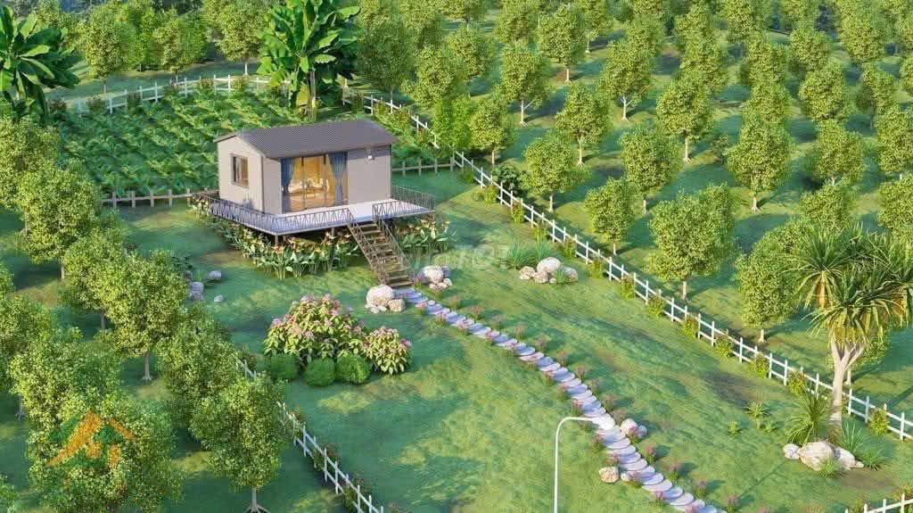 Đất trồng cây Hòa Nhơn Đà Nẵng 510m² - View sông núi lý tưởng