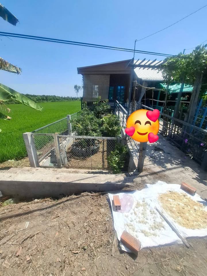 Nhà sàn tại đường NK10, xã Bình Long, Châu Phú - Giá chỉ 900 triệu, nghỉ dưỡng lý tưởng!