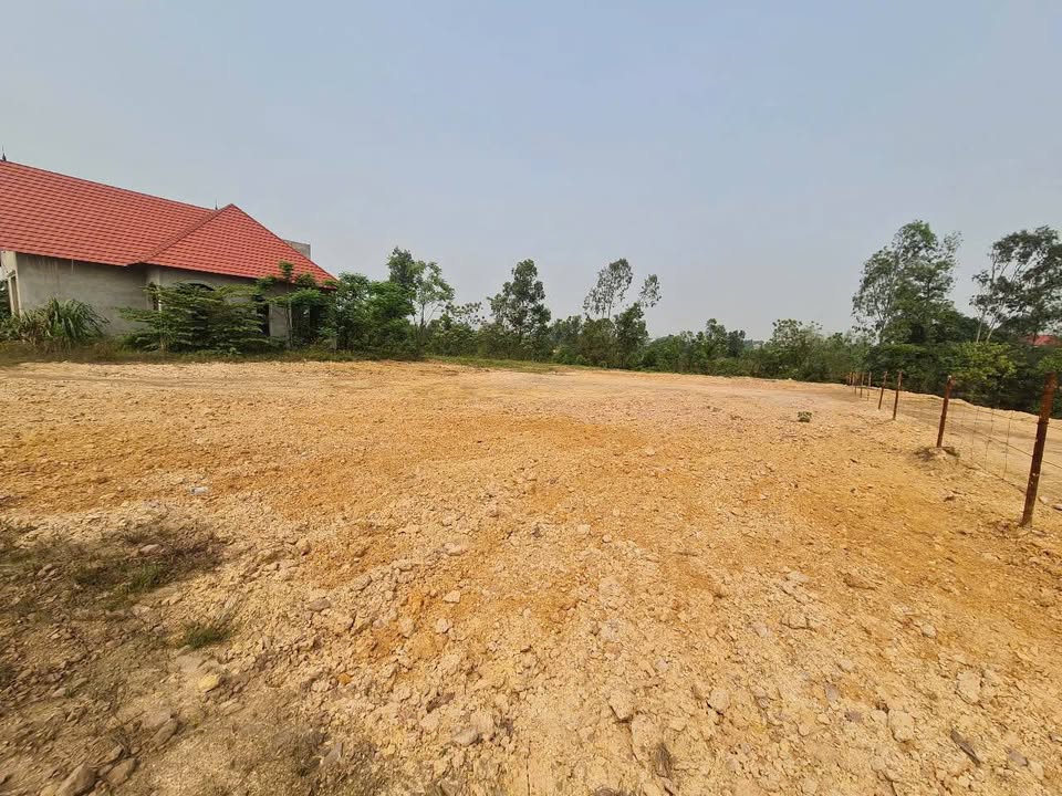 Lô đất xây dựng nhà xưởng xã Trung Giã 6000m² chỉ 3 tỷ - Sổ đỏ chính chủ!