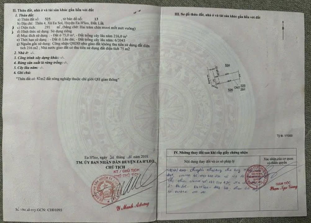 Đất nền Thôn 4, xã Ea Sol, huyện Ea H’leo 291m² giá chỉ 260 triệu - Cơ hội đầu tư sinh lời!