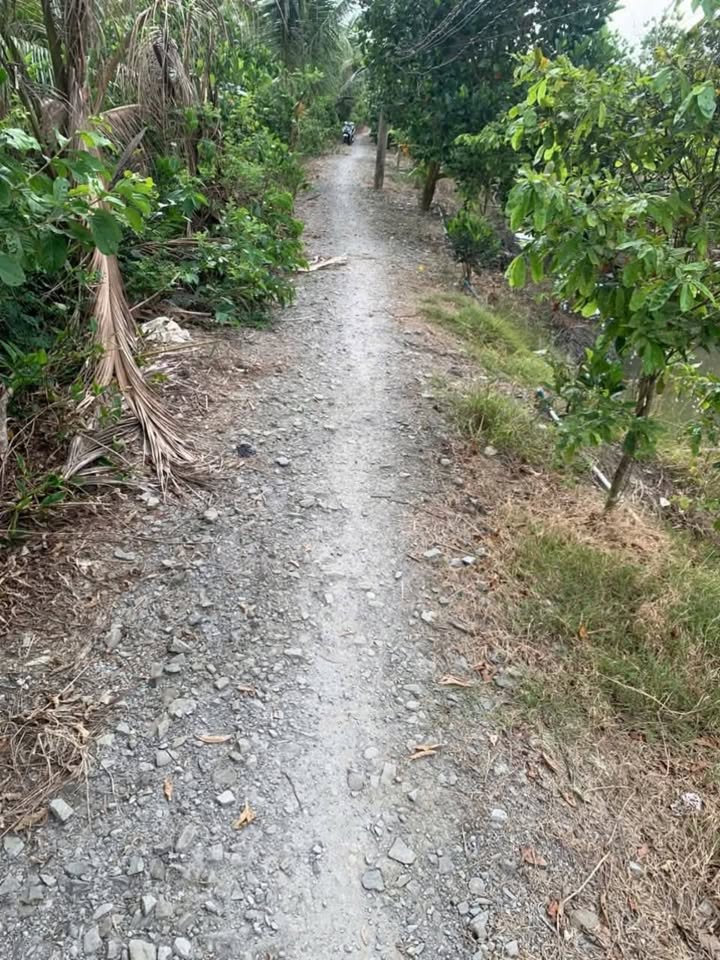 Đất Phú Cường, Cai Lậy 62000m² giá 2.48 tỷ - Mặt tiền 70m, dân cư đông đúc!