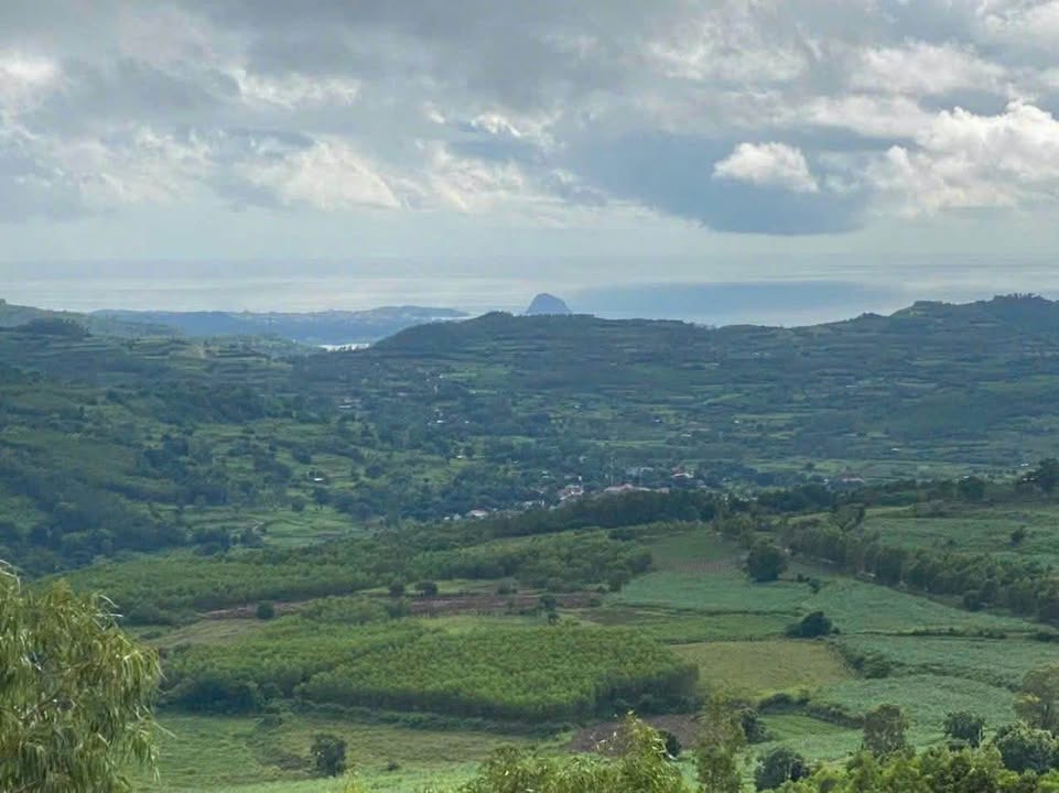 Lô Đất An Thọ 2100m² giá 500 triệu - Cơ hội đầu tư lý tưởng!