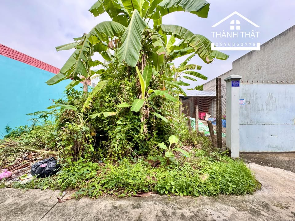 Đất nền thổ cư mặt tiền đường ô tô Đạo Thạnh 60m² giá 850 triệu - Đầu tư sinh lời hấp dẫn!