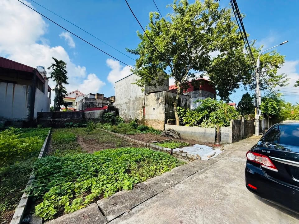 Đất nền phường Sơn Nam, Hưng Yên 77,4m² - Đường ô tô tránh nhau, giá chỉ 2 tỷ!