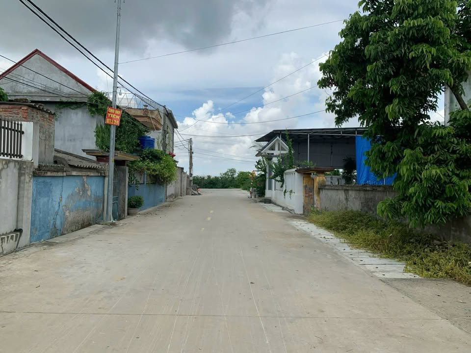 Lô đất Tiên Lãng 98m² giá 800 triệu - Đầu tư sinh lời ngay!