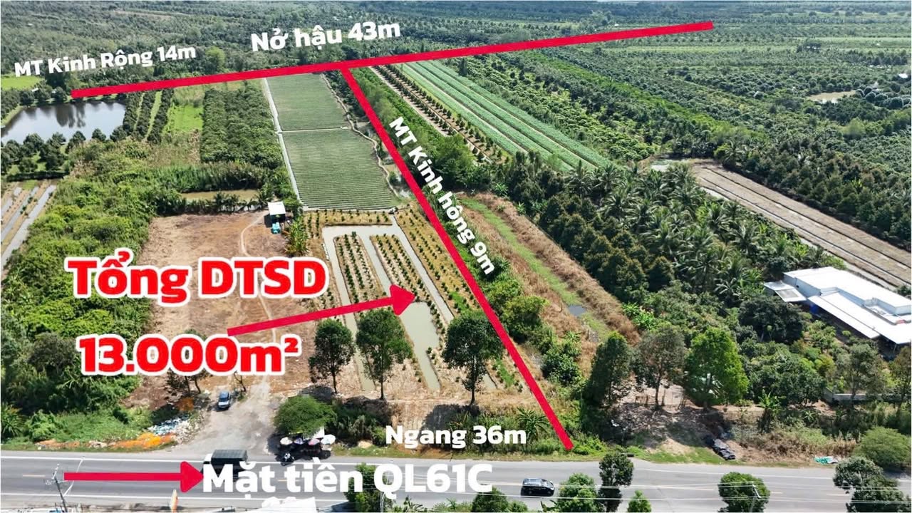 Đất 3 Mặt Tiền Quốc Lộ 61C - Phong Điền, Cần Thơ 13.000m² - Đầu tư sinh lời!